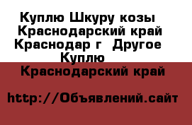 Куплю Шкуру козы - Краснодарский край, Краснодар г. Другое » Куплю   . Краснодарский край